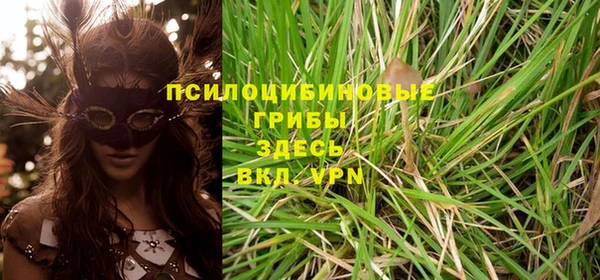 каннабис Гусиноозёрск