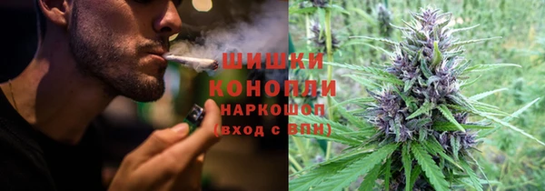 дмт Гусь-Хрустальный